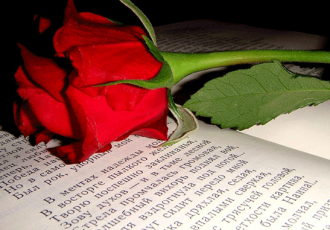 роза на книге со стихами